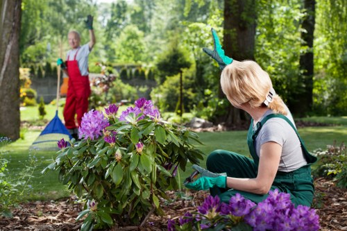 In a lush, well-maintained back garden with a mix of grass and flower beds, a woman wearing teal gardening gloves and casual clothing is kneeling next to a vibrant flowering shrub displaying purple blossoms. The garden features a paved pathway and trees with dense green foliage providing shade. In the background, a young girl dressed in a red apron and white shirt is raking leaves or debris, with sunlight filtering through the trees, indicating a bright, clear day. The scene showcases elements typical of outdoor garden maintenance, such as plant care, landscaping, and natural planting arrangements, aligning with gardening services offered by Landscapers Greenwich in the Greenwich area. The setting emphasizes the natural textures of soil, flower petals, and leafy shrubs, with the overall environment appearing lush and well-kept, reflecting professional gardening and landscaping work suitable for homes and outdoor spaces in London suburbs and nearby Postcode regions.
