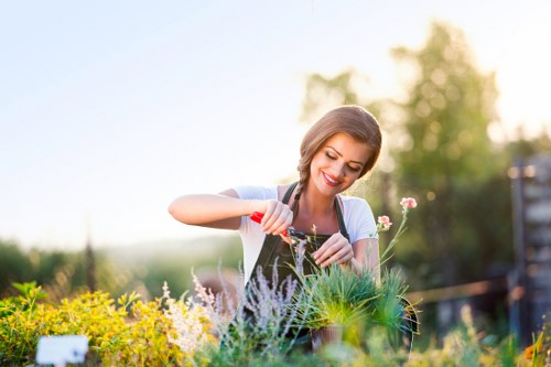 A woman with a friendly expression is seen tending to a vibrant garden in an outdoor space typical of Greenwich, with a variety of colorful flowering plants and lush green foliage. She is using a small hand tool to carefully plant or prune, positioned in the middle ground amidst flower beds bordered by a mixture of shrubs and low hedges. The garden layout features a well-maintained lawn area with dense, evenly cut grass in the foreground, creating a smooth, uniform appearance. Behind her, a backdrop of mature trees with soft sunlight filtering through their leaves provides natural illumination and highlights the textured leaves and blossoms, with the sky faintly visible in the background. The garden surfaces include a mix of soil beds, edged with natural stones, and sections of paved or gravel pathways, indicating an organized landscape design. The scene exudes a neat, flourishing outdoor environment that aligns with professional gardening and landscaping services offered by Landscapers Greenwich, catering to gardens in the Greenwich postcodes or nearby areas. The overall mood is bright, warm, and inviting, underscoring the care and attention invested in creating beautiful, sustainable garden spaces. The weather appears clear and conducive to outdoor gardening activities common in the Greenwich area, making this image illustrative of high-quality planting and garden maintenance services. This description supports accessibility by providing detailed observations of garden elements and the natural setting while subtly reinforcing the local context of Greenwich.