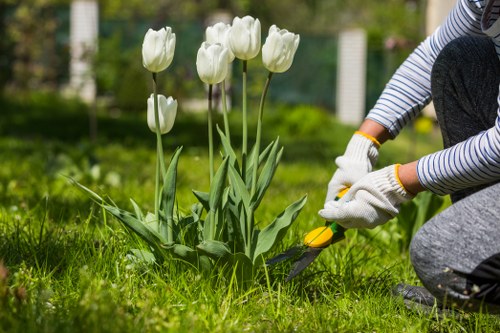 Greenwich homeowner's well-maintained lawn showcasing professional mowing