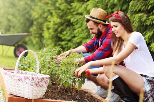 Professional tree lopping service in Greenwich