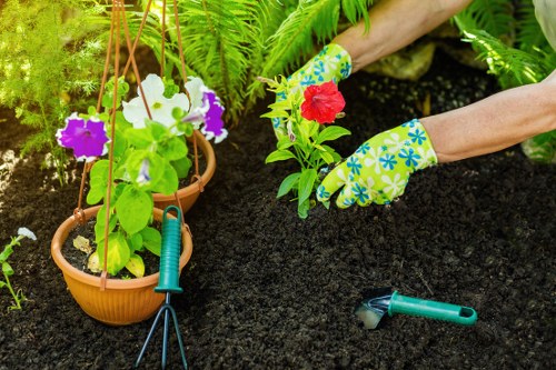 The image shows a person planting a flowering plant with red and green leaves into dark, freshly turned soil in a neatly maintained garden. The individual is wearing bright, floral-patterned gardening gloves and is using their hands to carefully position the plant. In the foreground, there are two terracotta pots hanging from a wooden stand, each containing vibrant purple and white petunias, positioned on a lush green lawn area. A small hand rake and gardening scissors are visible on the soil surface, indicating ongoing gardening activities. In the background, various green leafy plants and ferns suggest a well-cared-for, landscaped outdoor space, possibly part of a front or back garden in Greenwich. The scene is lit by natural daylight, emphasizing the healthy appearance of the plants and the rich colour of the soil, aligning with professional gardening and landscaping services provided by Landscapers Greenwich in the local area.