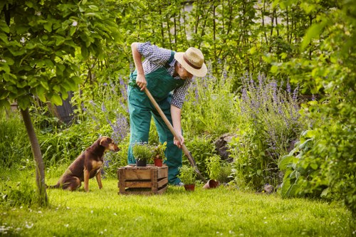 Professional team working on a landscaping project
