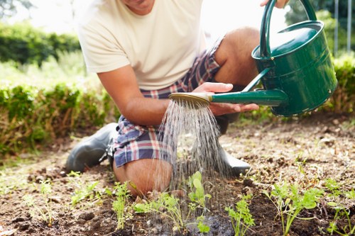 A person kneeling on the soil in a back garden, watering young vegetable plants with a green watering can during daytime. The garden features a freshly cultivated bed with small green seedlings emerging from the dark, well-tilled earth. In the background, a hedge or shrubbery borders the space, providing a natural enclosure. The individual is dressed casually in a light-colored t-shirt and checkered shorts, focusing on nurturing the young plants. The outdoor environment is illuminated by natural daylight, indicating clear weather. The scene reflects a well-maintained garden area suitable for gardening services offered by landscapers Greenwich, emphasizing early-stage planting and outdoor cultivation in a residential setting in Greenwich or nearby.