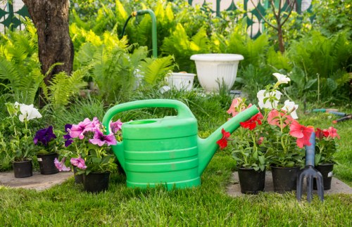 Greenwich landscaper working on garden design