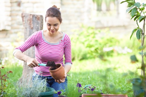 Professional Greenwich landscaping work with paving and planting