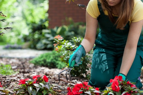 Seasonal lawn care work in Greenwich including mowing and garden edging