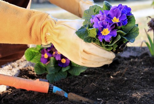 Eco-friendly lawn mowing practices in Greenwich residential area