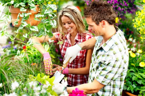 Advanced lawn mowing equipment used by Greenwich lawn care specialists