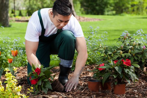 Professional lawn mowing team in Greenwich during spring season