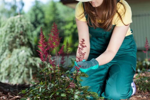 A gardener wearing teal gloves and a yellow T-shirt with teal overalls is crouched down in a lush garden, tending to vibrant pink flowering plants with elongated clusters of small blossoms. The garden features a well-maintained lawn in the foreground, bordered by dark composted soil and a variety of shrubs and plants, including a backdrop of leafy green trees and bushes. The scene is set outdoors on a bright, possibly sunny day, with natural light highlighting the textures of the plants, the rich green of the lawn, and the colorful blooms. The presence of garden tools or equipment is not visible, but the gardener’s attentive action indicates ongoing plant care, typical of professional gardening services provided by Landscapers Greenwich, aligning with the area's landscape maintenance practices. The setting appears to be part of a residential garden, with a backdrop suggesting a private outdoor space in the Greenwich area, focused on sustainable gardening and outdoor environmental care as referenced by the 'Recycling and Sustainability' page. The overall scene emphasizes healthy plant growth and thoughtful garden management, capturing a moment of horticultural attention and outdoor effort aligned with eco-friendly landscaping principles.