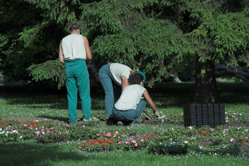 Professional pruning and trimming in a Greenwich garden