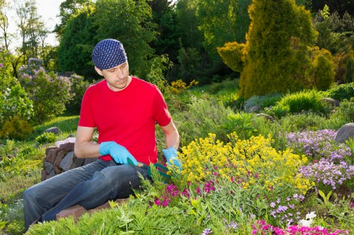 A man wearing a blue patterned cap, red t-shirt, and blue gardening gloves is kneeling in a lush, landscaped garden in Greenwich, surrounded by a variety of flowering plants and shrubs with vibrant yellow, purple, and pink blooms. The garden features a well-maintained lawn, flower beds edged with natural stones, and mature trees and bushes in the background, creating a peaceful outdoor space likely part of a residential or communal garden. The weather appears sunny and mild, highlighting the natural tones of the plants and the textured surfaces of the soil and paving. The scene reflects careful landscaping work, typical of professional gardening services, with a focus on plant variety, colour coordination, and garden layout that enhances the overall aesthetic. The presence of a gardener actively working suggests ongoing maintenance and enhancement of the garden environment, a service offered by local Greenwich landscapers and gardening specialists, supporting sustainable and attractive outdoor spaces for residents.