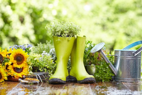 Healthy trees enhancing property aesthetics