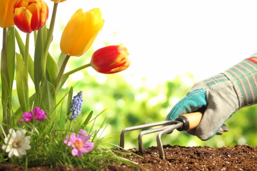 In the image, a gardener's hand wearing a gardening glove is seen using a small hand rake to aerate or loosen soil in a garden bed. To the left, there are vibrant tulips in shades of orange and yellow, along with clusters of pink, purple, and white flowers blooming amidst green foliage. The garden has a well-maintained, natural appearance with a mix of flowering plants and lush green grass. The background shows a blurred outdoor environment, suggesting a sunny day with bright, natural lighting. The scene highlights typical elements of garden care and planting, aligning with professional landscaping services in Greenwich and supporting outdoor gardening maintenance. The composition emphasizes a tidy, inviting outdoor space designed for both aesthetics and plant health, indicative of quality garden renovation and landscaping work.