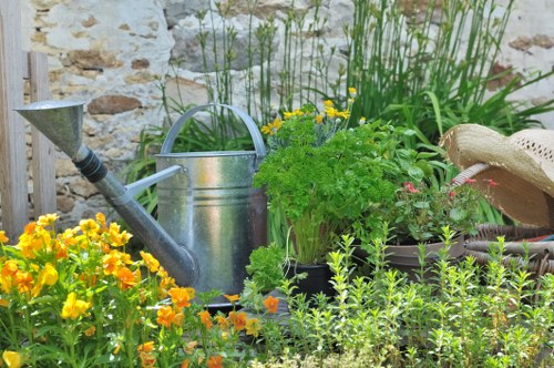 A vibrant outdoor garden scene with a variety of plants and gardening tools arranged against a rustic stone wall. The foreground features a dense cluster of bright yellow and orange flowering plants, adding a splash of colour to the space. Behind the flowers, there is a collection of greenery including a potted herb plant with jagged leaves, possibly parsley, and a taller, grass-like plant with narrow leaves. To the left, a metallic silver watering can with a curved handle and spout rests on the ground, suggesting ongoing garden maintenance. On the right side, part of a straw sunhat is visible, indicating the presence of a gardener. The garden area includes a mix of soil and small paving stones, providing a natural and practical outdoor environment suited for a residential garden in Greenwich. The overall scene appears to be a well-maintained, productive patch with natural lighting, possibly during a mild, overcast day, emphasizing the lush greenery and vibrant blooms, consistent with gardening services in the local area.