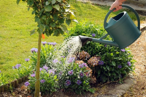 In a well-maintained front garden in Greenwich, a person is watering a flower bed with purple and brownish flowers using a dark green watering can. The flower bed is bordered with small wooden edging, containing various lush green shrubs and plants. Behind and to the side, there's a small tree with dense green foliage, and a neatly clipped hedge runs along the edge of the lawn area. The grass is freshly mowed, exhibiting a vibrant green colour, and the garden is bathed in natural daylight under clear weather conditions. The scene reflects attentive outdoor maintenance typical of professional gardening and landscaping services offered by Landscapers Greenwich, highlighting a tidy, inviting outdoor space in an urban garden setting.