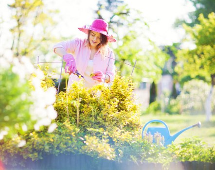 A woman wearing a pink sunhat and gardening gloves is tending to a well-maintained garden bed filled with yellow flowering plants, surrounded by vibrant green foliage and clear, bright outdoor lighting. The garden features a mix of grassy areas and neatly bordered flower beds, with a background of trees and shrubs that suggest a landscaped backyard or front garden in Greenwich. A blue watering can is visible in the foreground, placed on a paved or gravel surface, indicating ongoing gardening activity. The overall scene depicts a tidy, flourishing outdoor space with healthy plant growth, set during a sunny day with natural light filtering through the trees, consistent with professional gardening services offered by Landscapers Greenwich in the local area, enhancing the appeal and functionality of the outdoor environment.