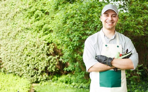 A professional gardener standing in a lush, well-maintained garden with a background of dense green shrubs and leafy trees. The gardener, dressed in a light grey cap, grey and white striped shirt, and protective apron, is smiling and holding a pair of pruning shears. The garden features a grassy lawn in the foreground with dense, vibrant foliage and neatly trimmed hedges, suggesting regular landscaping care. The natural outdoor setting appears to be during daylight, with soft lighting highlighting the lush green tones and the gardener's friendly expression, conveying expertise in gardening and outdoor maintenance services provided by Landscapers Greenwich.