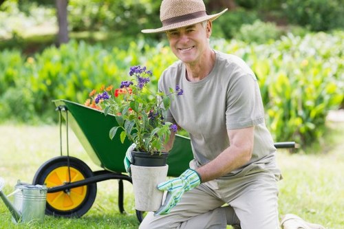A cheerful elderly man wearing a straw hat, light grey t-shirt, and gardening gloves is kneeling on a well-maintained lawn in a landscaped outdoor garden area. He is holding a potted plant with purple and red flowers, demonstrating careful planting or maintenance work. Behind him, there is a green wheelbarrow with a yellow wheel, filled with gardening tools or supplies, positioned on the grass. The garden features a lush backdrop of dense, green hedges and tall trees, providing natural shade and privacy. The lawn has a healthy, dense grass texture, and nearby, there are flower beds or borders with natural soil visible, indicating ongoing garden care. The scene appears to be in the daytime with bright, natural lighting, suggesting good weather conditions suitable for outdoor gardening activities. This image reflects professional gardening practices supported by companies like Landscapers Greenwich, with an emphasis on sustainable and environmentally friendly outdoor maintenance, fitting for a page about recycling and sustainability in local garden services in Greenwich or nearby areas.