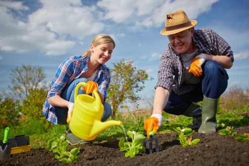 A man and a woman working together in a well-maintained backyard garden with a clear blue sky and scattered clouds overhead. The garden features a freshly tilled soil bed with young green lettuce plants arranged in neat rows. The woman is kneeling on the soil, holding a yellow watering can to water the plants, while the man, wearing a straw hat and orange gardening gloves, is leaning forward, tending to the plants with his hand. In the background, there are tall trees and a hedge that define the garden boundary, with a vibrant green lawn surrounding the planting area. The overall scene depicts outdoor gardening activity on a sunny day, showcasing professional gardening and landscaping work typical of services offered by Landscapers Greenwich in the local area near Greenwich, London. The light emphasizes the natural tones of the soil, plants, and wooden garden borders, highlighting a healthy, productive outdoor space conducive to gardening and lawn care maintenance.