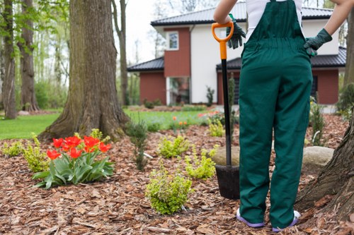 In a well-maintained front garden in Greenwich, a gardener wearing dark green overalls and gloves is seen from the back, standing on soil and mulch, holding a small shovel with an orange handle. The garden features neatly edged flower beds with bright red tulips and green leafy plants, bordered by a concrete driveway or paved area. A mature tree with a thick trunk and textured bark is prominent in the foreground, with surrounding mature trees and a lush green lawn visible in the background. Part of a modern, red-brick residential house with a dark roof and large windows is also in view, set against a backdrop of overcast sky. The scene appears to be in early spring, with fresh growth and moist soil. The overall environment is clean and orderly, highlighting outdoor gardening and landscaping work typical in the Greenwich area, and subtly reflecting the expertise of Servicios Greenwich’s local garden maintenance and planting services.