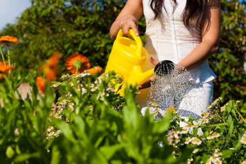A woman in a white sleeveless top is seen tending to a well-maintained garden in Greenwich, with her face not visible. She is holding a yellow watering can and watering a bed of vibrant flowers, including white daisies and orange blooms, which are surrounded by lush green foliage. The garden features a neatly cut lawn area in the foreground, defined by a border of flowering plants, with dense shrubs and small trees in the background. The setting is outdoors on a bright, sunny day, with natural sunlight illuminating the natural tones of the grass, soil, and plants, creating a lively and healthy outdoor environment. This scene exemplifies professional garden maintenance and planting, highlighting the importance of careful watering and nurturing in creating attractive, sustainable outdoor spaces, which is a focus of gardening services offered by Landscapers Greenwich in the local postcode area.