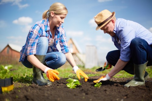 A woman and a man are working together in a garden, planting young green plants into freshly tilled dark soil. The woman, dressed in a blue plaid shirt, jeans, and yellow gardening gloves, is kneeling on the grass, holding a small plant. The man, wearing a light blue shirt, dark trousers, green rain boots, and a straw hat, is using a small hand tool to loosen the soil around the plant. They are positioned in a landscaped outdoor space with a well-maintained lawn in the foreground, bordered by a flower bed with soil, and a background of residential properties under a clear blue sky with some scattered clouds. The scene suggests outdoor gardening activities typical of property maintenance and landscaping services in Greenwich, and the environment appears well-lit, likely during a bright sunny day, emphasizing the natural tones of the greenery and soil.