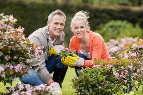 Sustainable gardening practices in a lush Greenwich garden