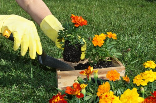Professional landscaper maintaining a green lawn